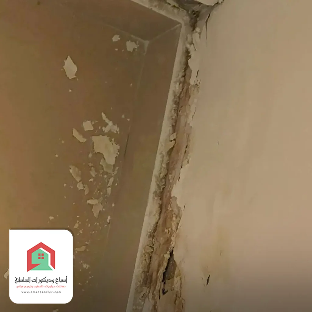 معالجة تشققات الجدران والصبغ